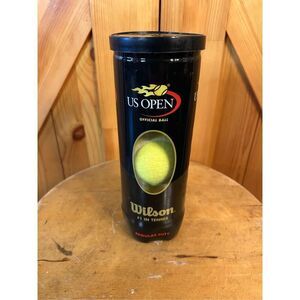 Wilson US Open Regular Duty 3 Tennis Balls in 1 Can (7629)
